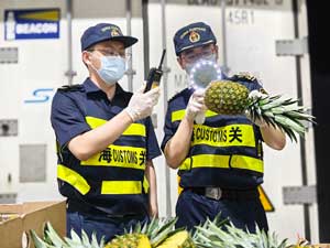 监管场地扩容升级 上海海关密切与港口、场所经营单位联系配合,积极推进进博水果抢“鲜”入境