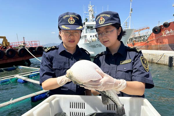 烟台河豚争“鲜”出海